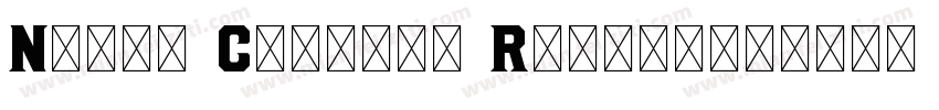Noble Company Regula字体转换